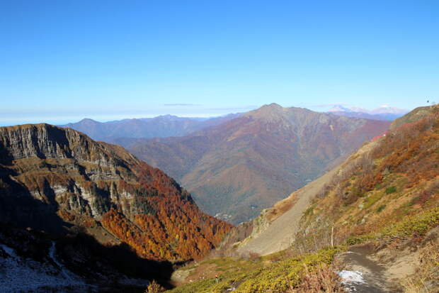 Сейсмолог допустила сильное землетрясение в Сочи в обозримом будущем