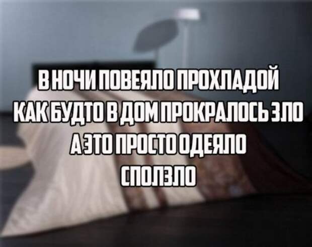 Хорошее настроение в прикольных фото и картинках (49 шт)