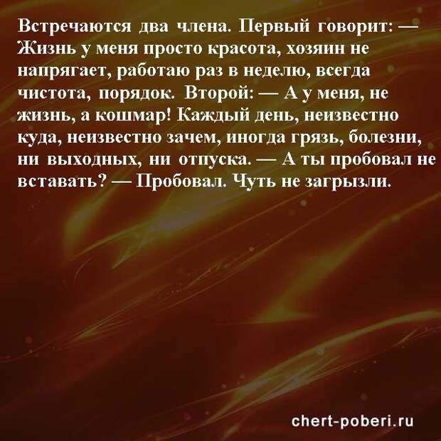 Самые смешные анекдоты ежедневная подборка chert-poberi-anekdoty-chert-poberi-anekdoty-01581112082020-14 картинка chert-poberi-anekdoty-01581112082020-14