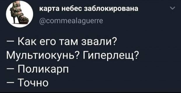 Лучшие шутки и мемы из интернета