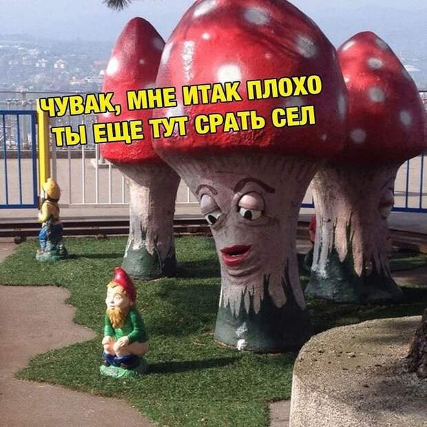 Всё тлен Всё тлен