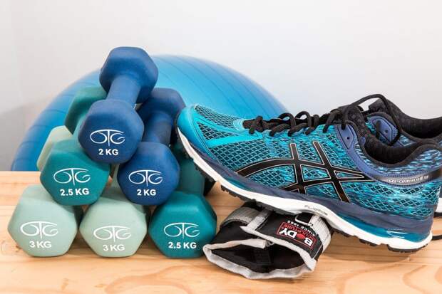 dumbbells-2465478_1920 alt