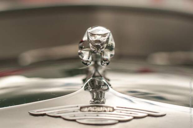 Гонки ретро-автомобилей - Moscow Classic Grand Prix  ретро авто, гонки, авто, олдтаймер