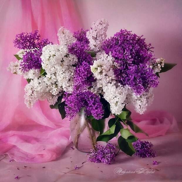 0_7655f_9f1a63f_XL (600x600, 116Kb)