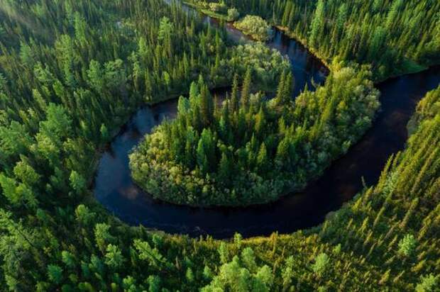 Российские и международные рейтинговые агентства подтверждают лидерство «Роснефти» в области устойчивого развития