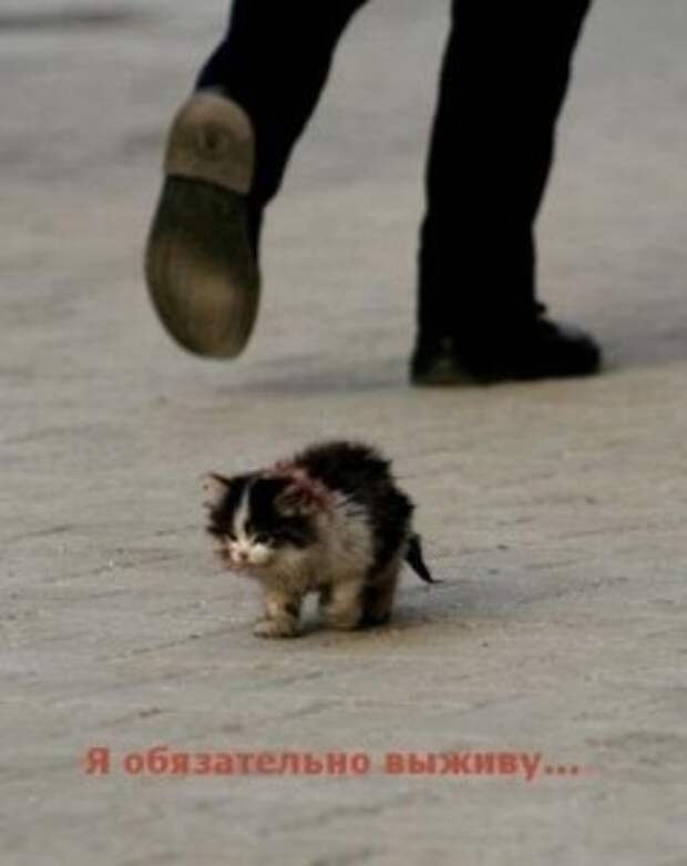 я обязательно выживу