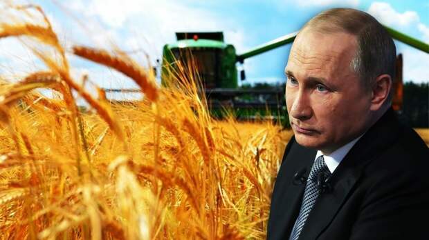 Хитрый план Путина или Сказ о зерне и жадности