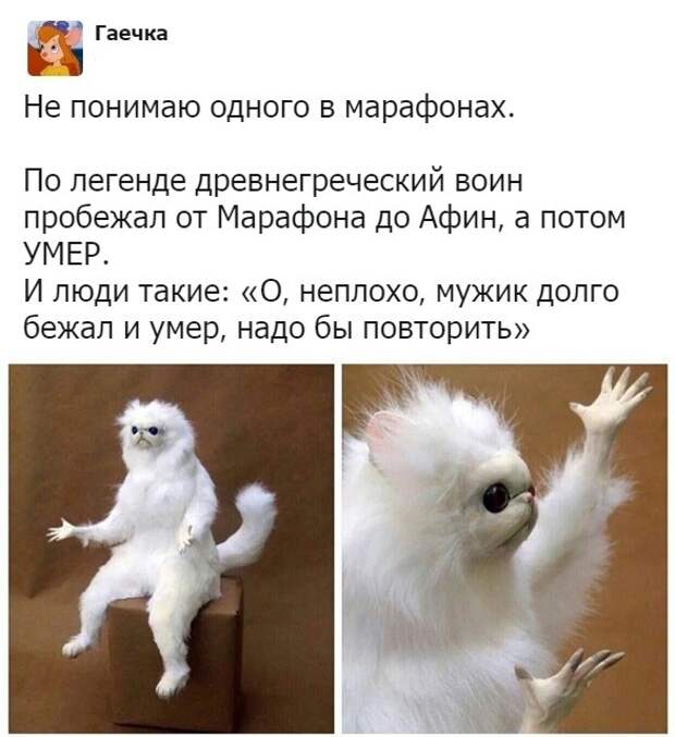 www.vsyako.net