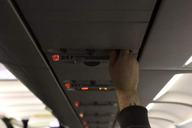 Туризм по России и карьера стали главными целями для жителей Ленобласти