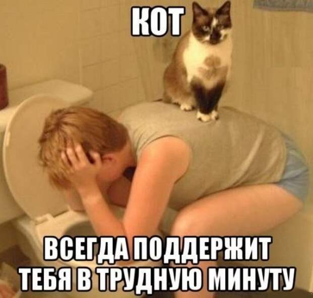 Прикольные картинки в пятницу (48 шт)