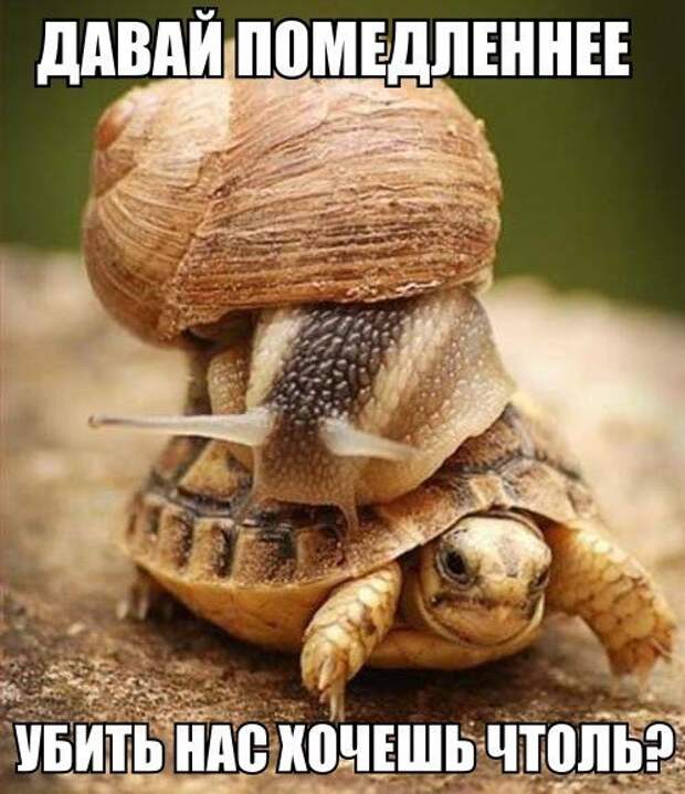 Подборка автоприколов. Часть 197 автоприколы, приколы
