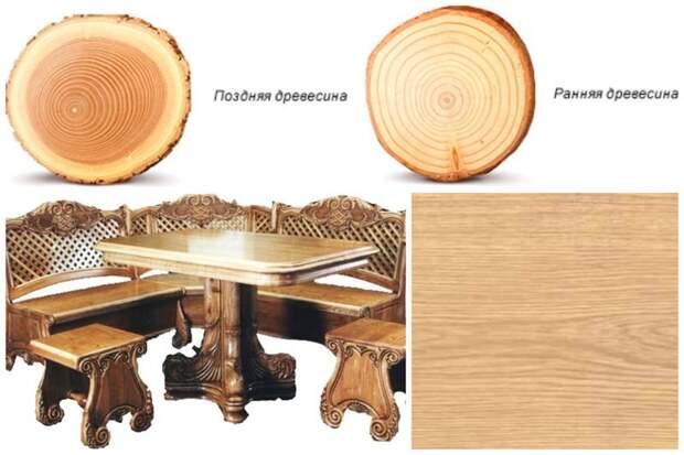 Еще немного о дубе - одной из самой широко применяемой древесине деревья, древесина, интересное, природа, факты