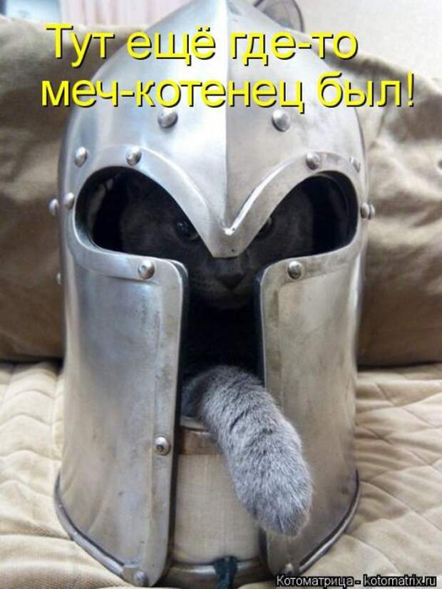 Лучшие котоматрицы недели (50 фото)