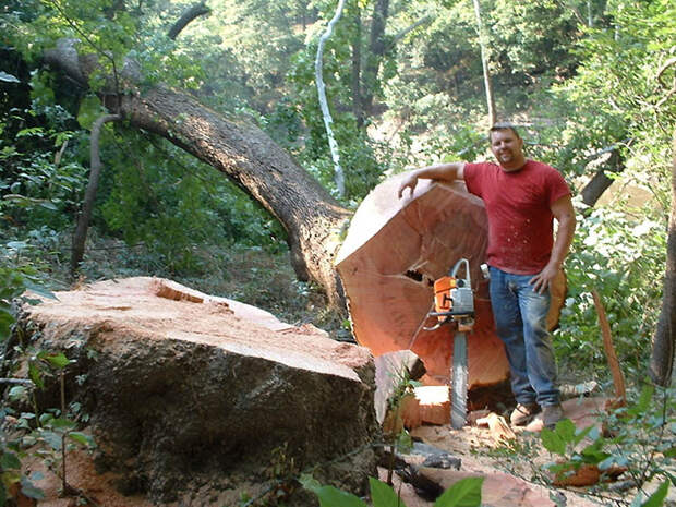 9 самых опасных профессий в мире 10173 ТОП 9 самых опасных профессий в мире