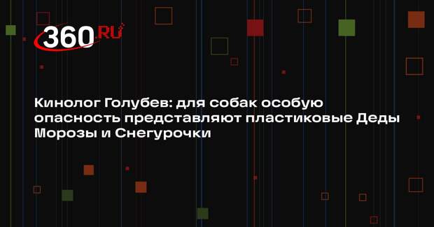 Кинолог Голубев: для собак особую опасность представляют пластиковые Деды Морозы и Снегурочки