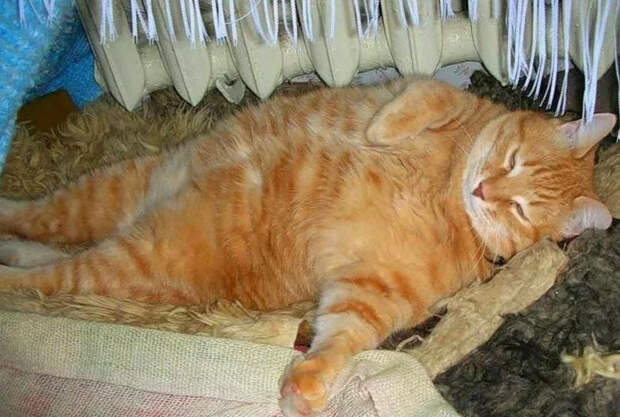 yvH1GYTso2A (700x471, 354Kb)