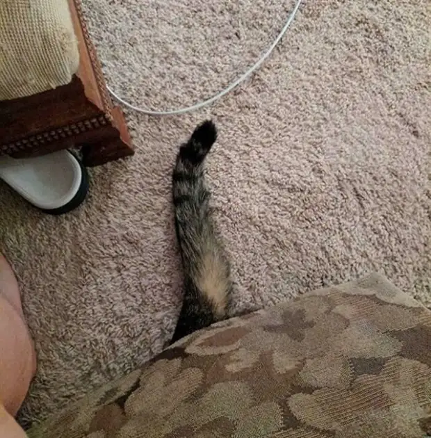 ?