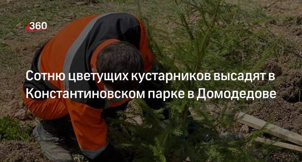 Сотню цветущих кустарников высадят в Константиновском парке в Домодедове