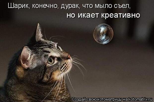 Шарик, конечно, дурак, что мыло съел,  но икает креативно