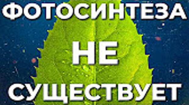 https://i.ytimg.com/vi/gZp1ChzCAHA/hqdefault.jpg?sqp=-oaymwEWCKgBEF5IWvKriqkDCQgBFQAAiEIYAQ==&rs=AOn4CLD5uEpJGDTbAw-FYZ9ZjPW4nUmOUA