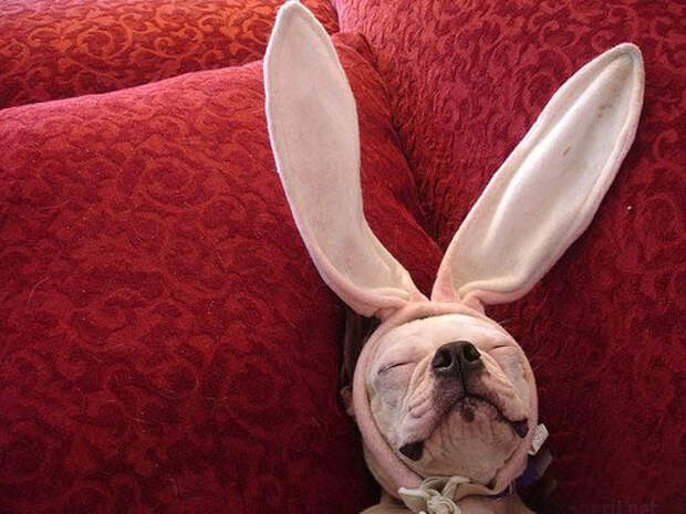 Давайте улыбаться вместе :) (27 улыбок)