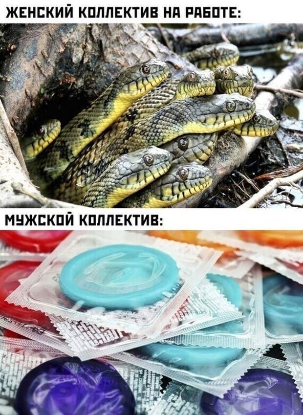 1. Коротко о коллективе 1. Коротко о коллективе
