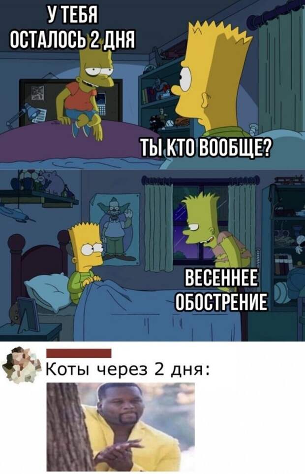 Смешные комментарии в социальных сетях