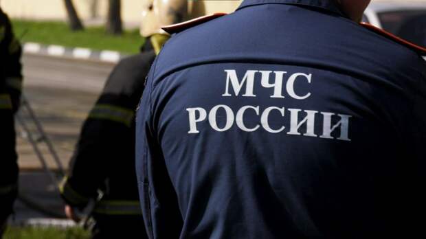 В Заокском районе пожарные спасли подростка от стаи бродячих собак