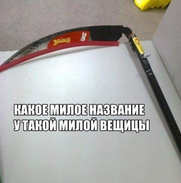 Картинки, юмор, приколы