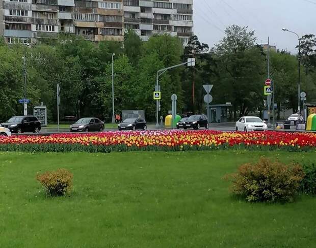 Фото: Кудрат Мирзаходжиев
