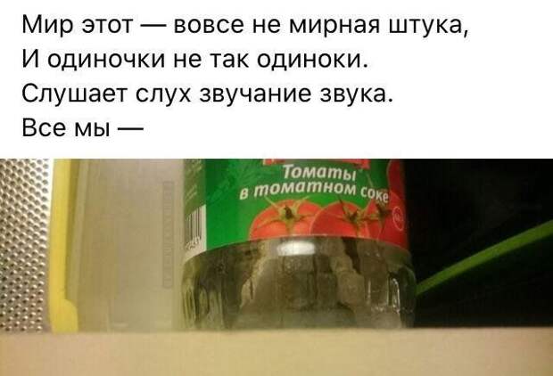 199699_9_trinixy_ru.jpg