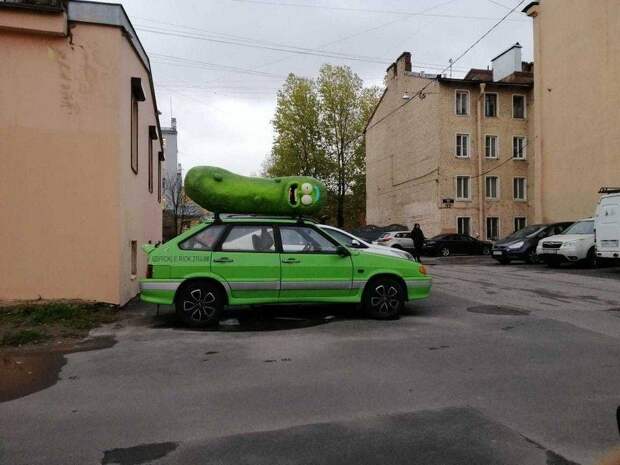 Подборка прикольных картинок