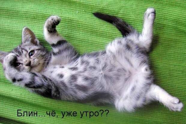 Давайте улыбаться вместе :) (25поводов)