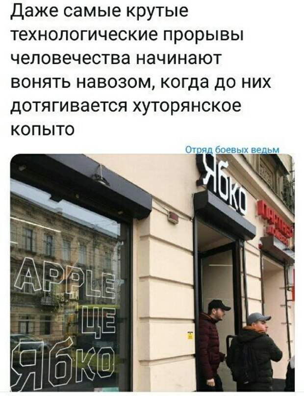Политические картинки