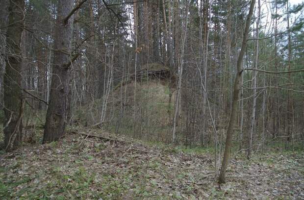 Есть и искусственные холмы полностью выложенные такими плитами. грибы, лес, оружие, полигон