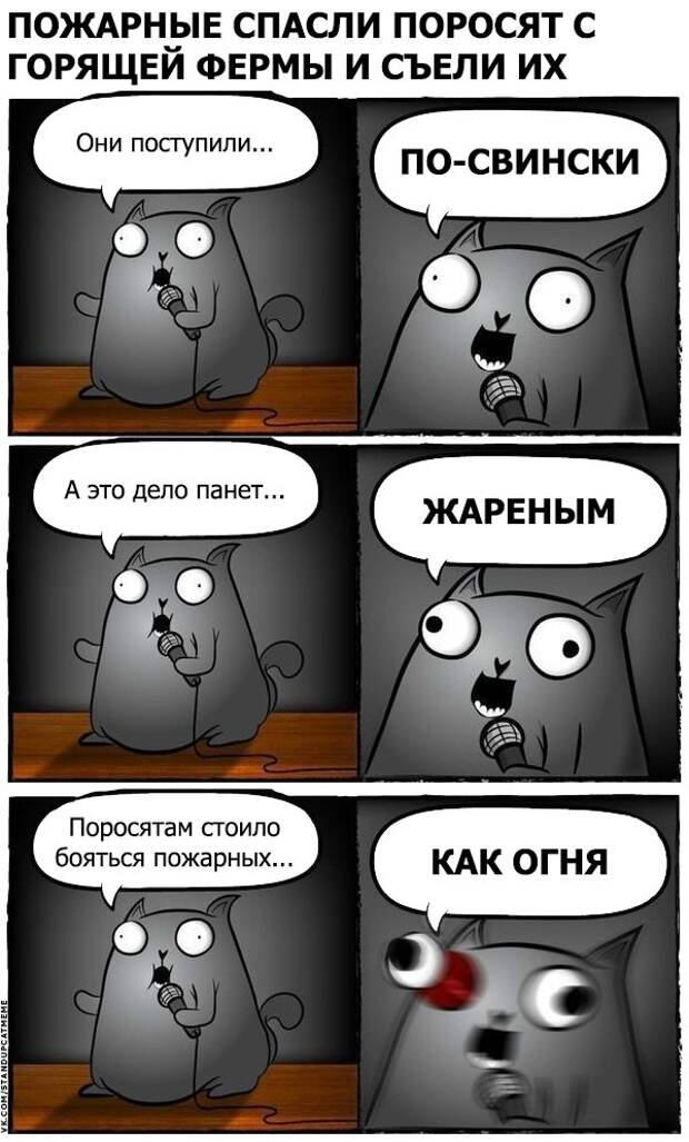 Стендап-кот и его коллекция саркастических комиксов Стендап-кот и его коллекция саркастических комиксов