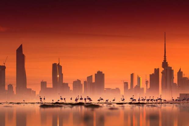 Фотография: 20 лучших снимков, сделанных на рассвете №15 - BigPicture.ru