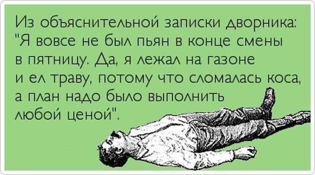 Смешные объяснительные  объяснительные, юмор