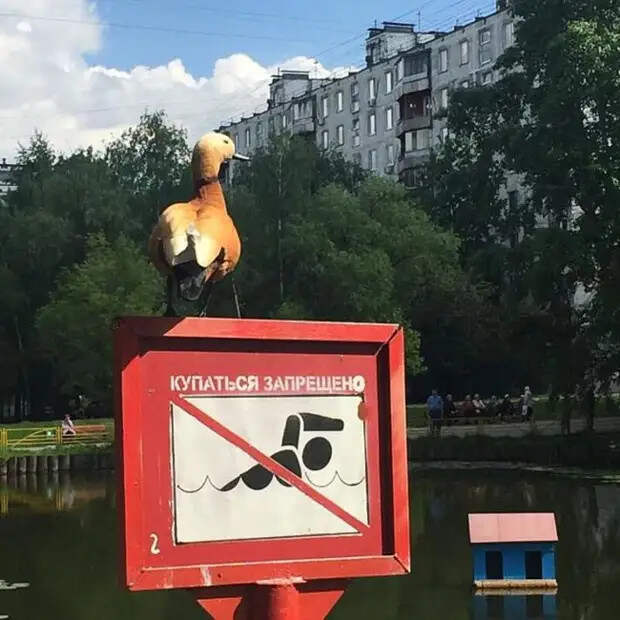 Не очень-то и хотелось! 21 запрет, которые точно не захочешь нарушать)