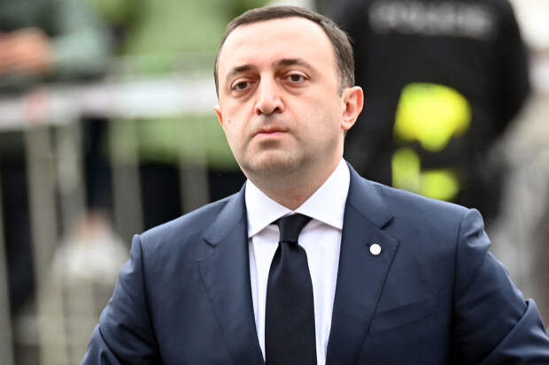 Гарибашвили: участие глав МИД в митинге стало вмешательством в дела Грузии