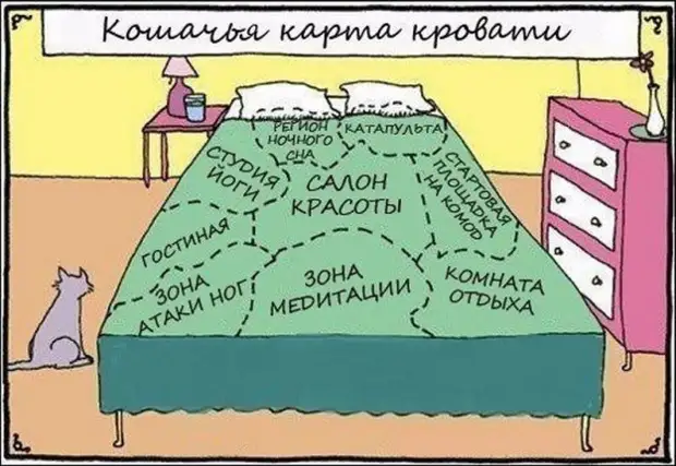 Карикатуры :)