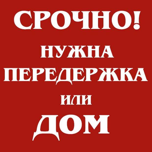 Они вот-вот станут пищей для лисиц... Умоляем, откликнитесь, помогите, потому что это реальный кошмар...