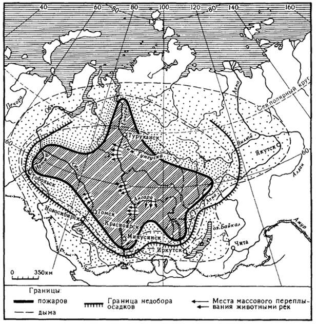 Сибирские пожары 1915 года охватили значительную часть страны и, согласно современникам, уничтожили более 14 миллионов гектаров леса — много больше, чем любые сибирские пожары XXI века. Тем временем по телевизору год за годом рассказывают о «беспрецедентных» лесных пожарах, вызванных глобальных потеплением / ©irkipedia.ru