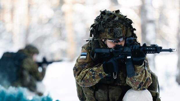 Эстония с элементами сумасшествия готовится к нападению России