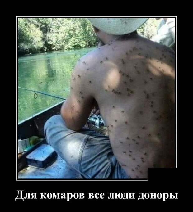 Демотиваторы (30 фото)