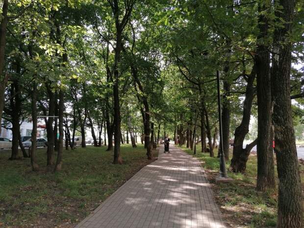 3 сентября. Костры рябин горят