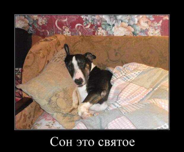 Новые прикольные демотиваторы (38 шт)