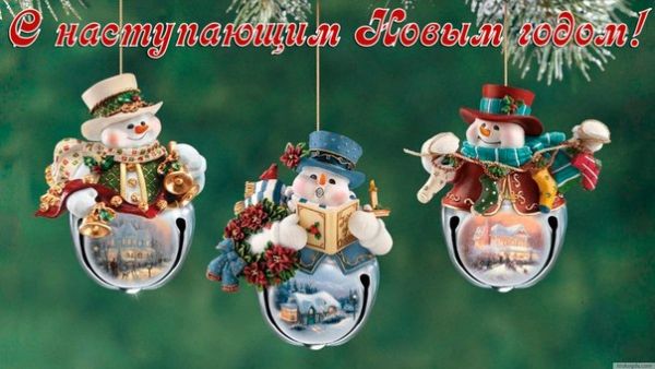 Встречаем Новый год !