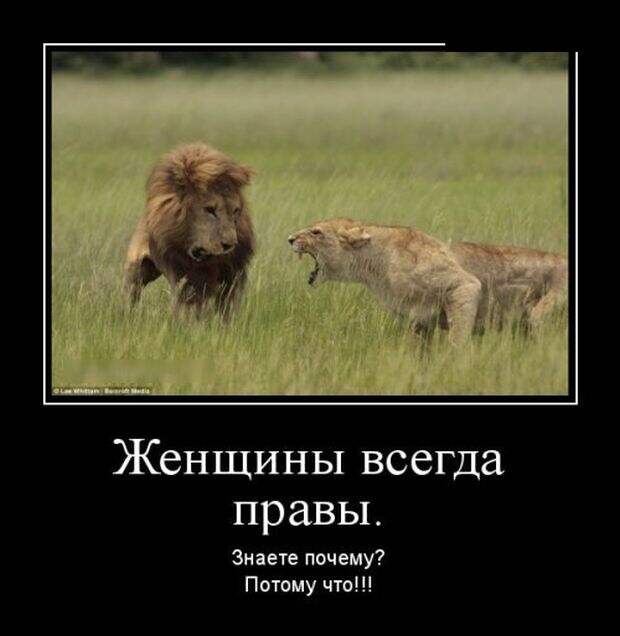 Демотиваторы (30 фото)