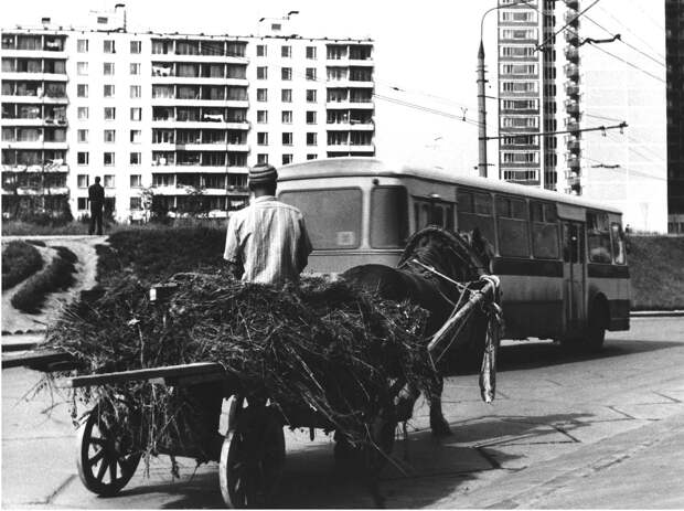 1978 г. Москва, Юго-запад